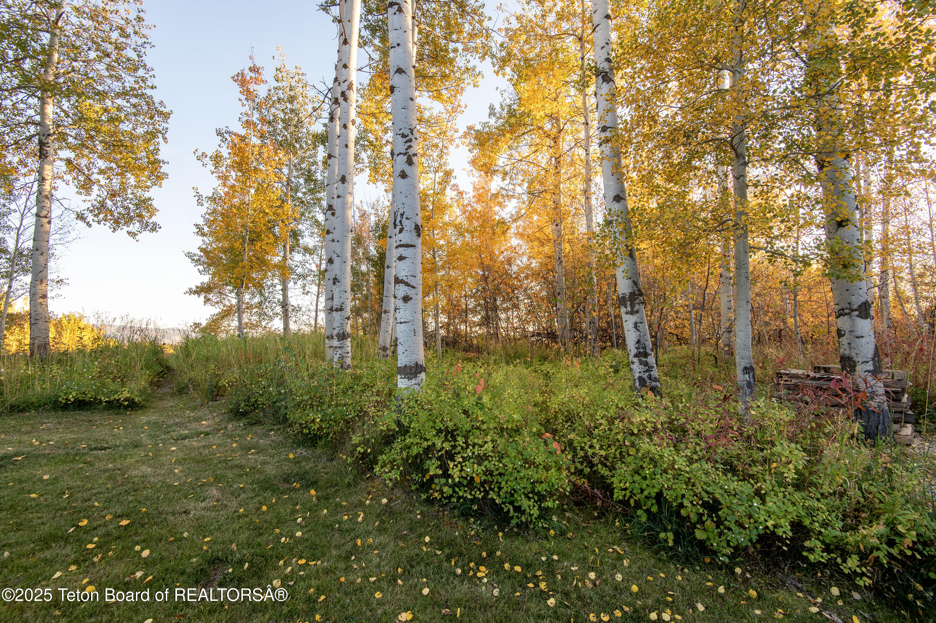 10827 Hiatt Trail Tetonia, ID 83452 - Photo 71 of 96 DSC_4307_print