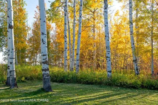 $1,350,000 | 10827 Hiatt Trail, Tetonia, ID 83452