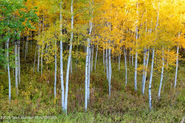 $1,350,000 | 10827 Hiatt Trail, Tetonia, ID 83452