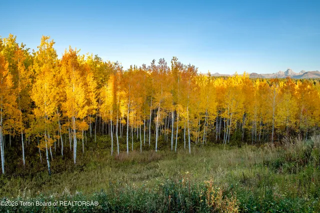 $1,350,000 | 10827 Hiatt Trail, Tetonia, ID 83452