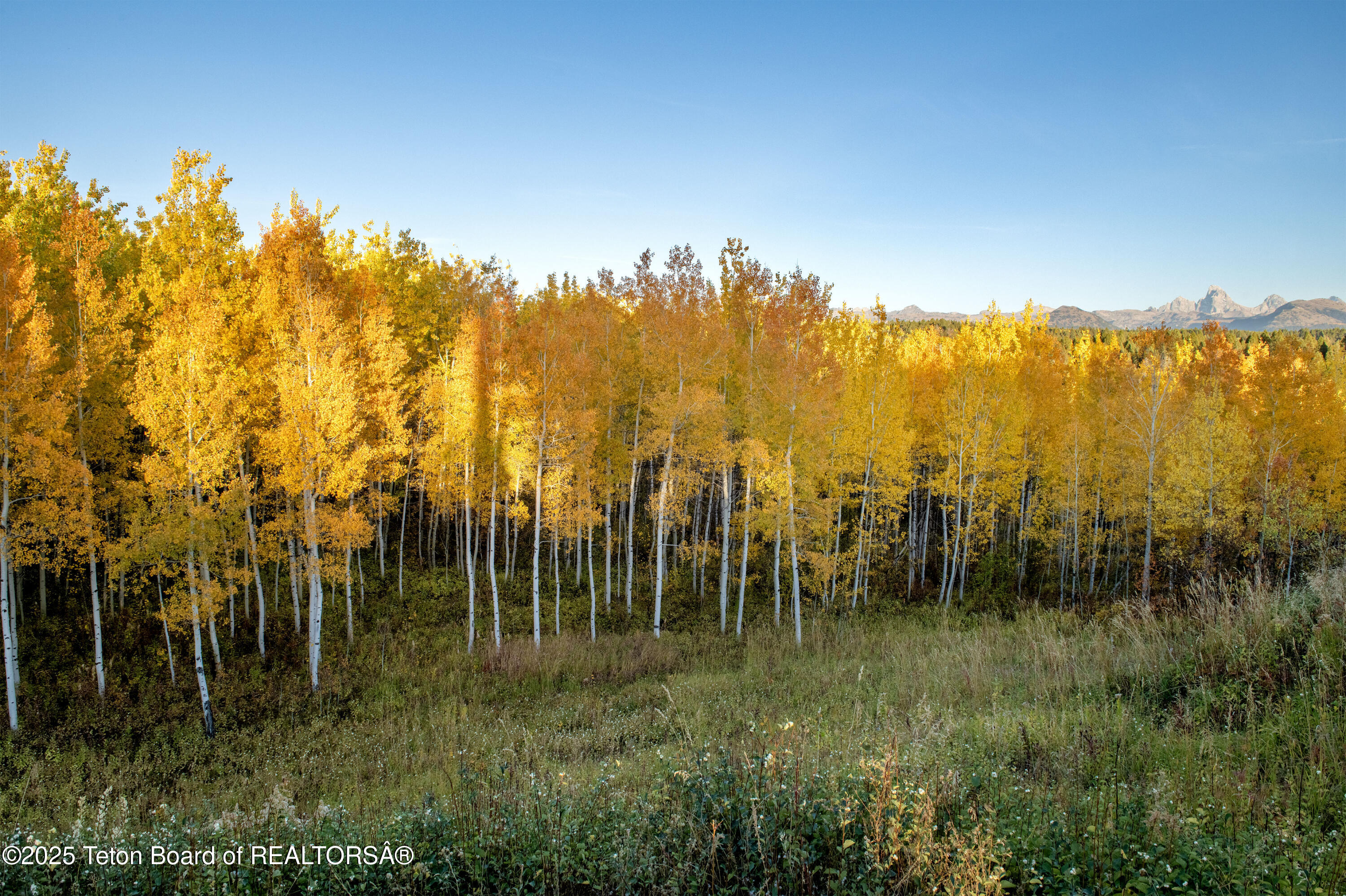 10827 Hiatt Trail Tetonia, ID 83452 - Photo 74 of 96 DSC_4262-HDR_print