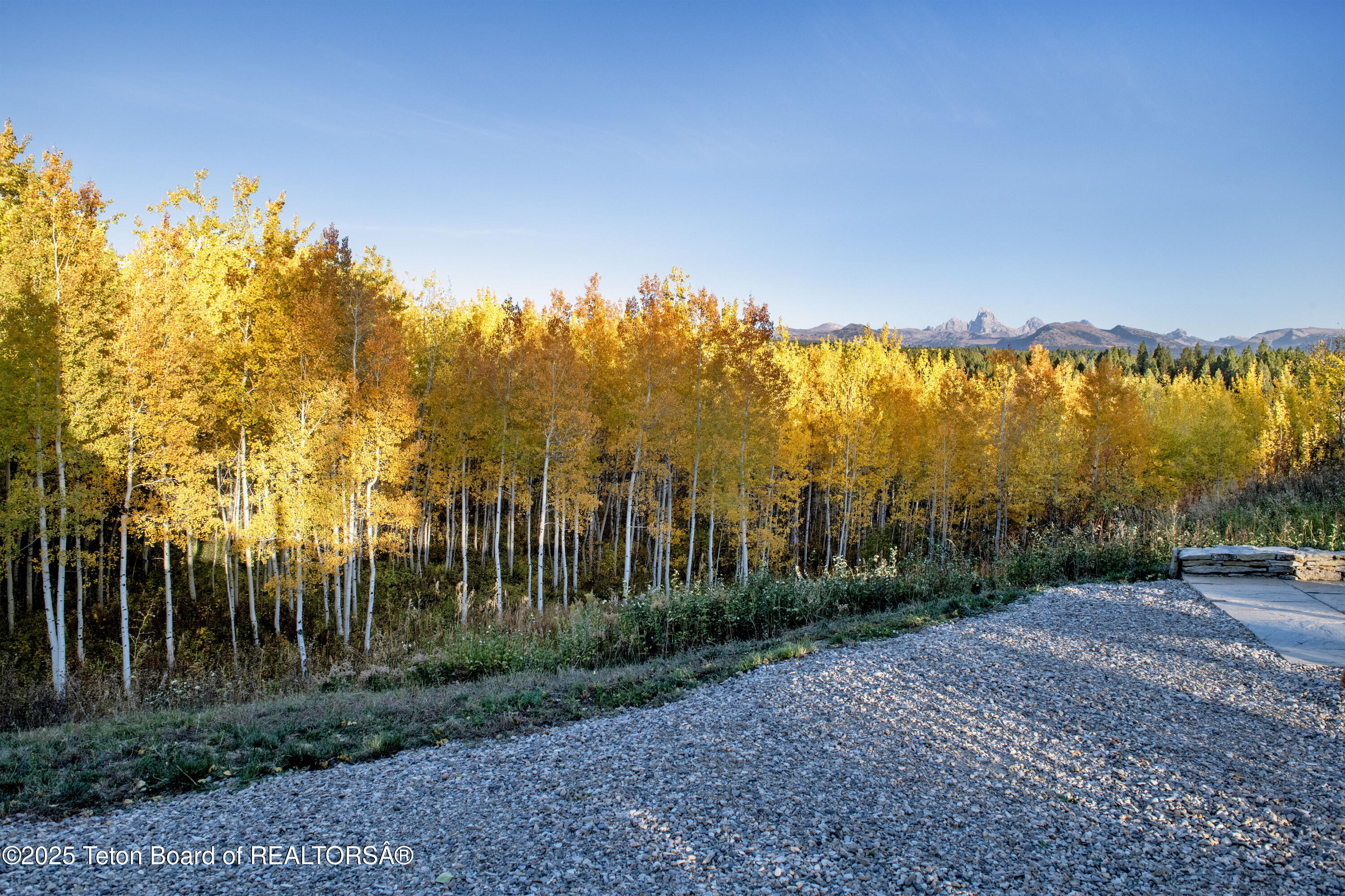 10827 Hiatt Trail Tetonia, ID 83452 - Photo 77 of 96 DSC_4199-HDR_print