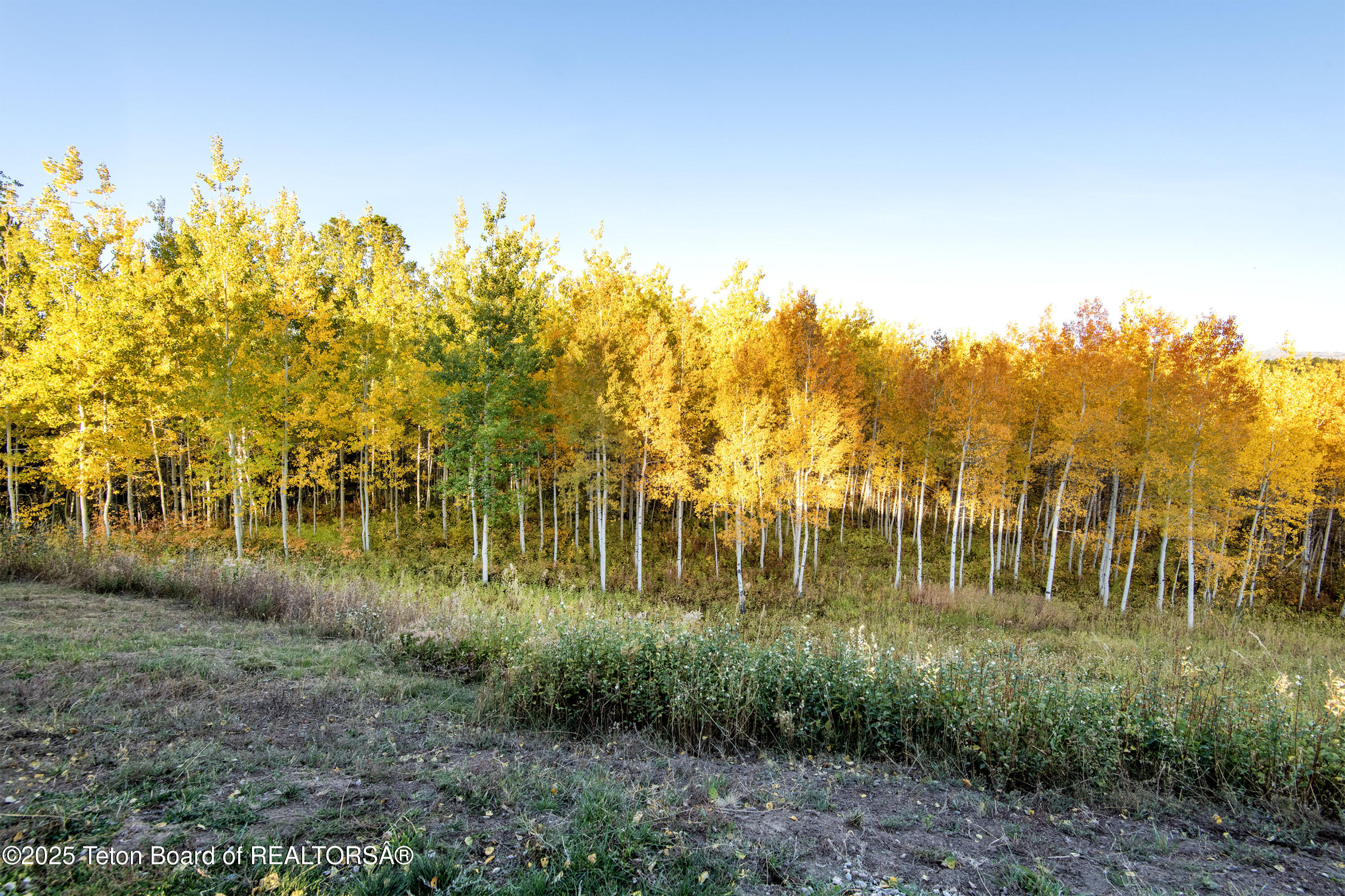 10827 Hiatt Trail Tetonia, ID 83452 - Photo 78 of 96 DSC_4215-HDR_print