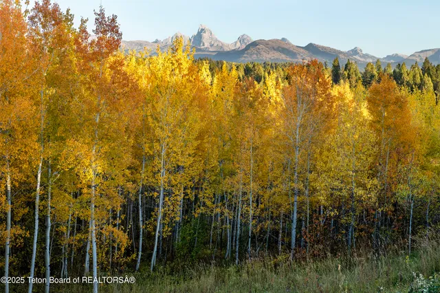 $1,350,000 | 10827 Hiatt Trail, Tetonia, ID 83452