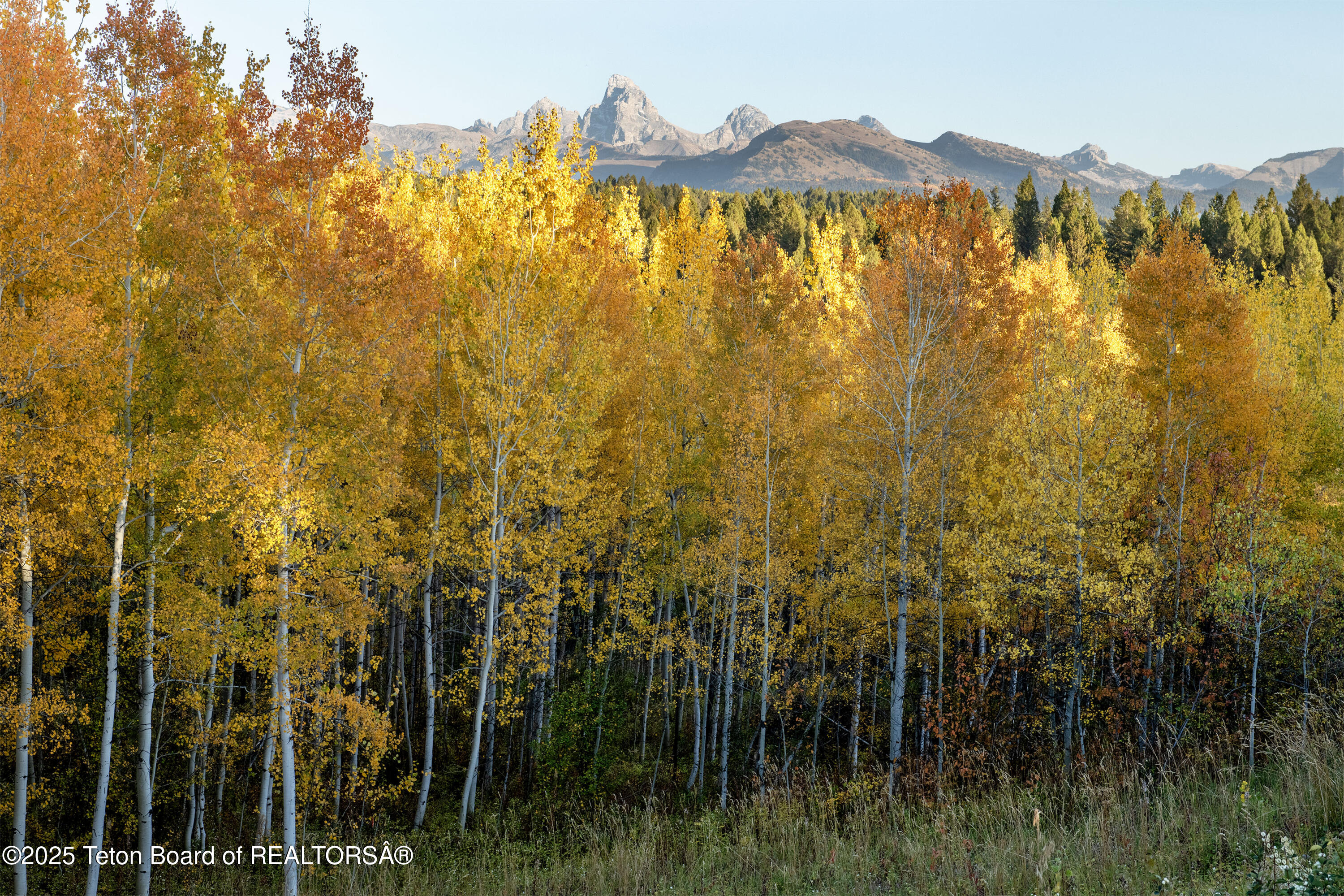 10827 Hiatt Trail Tetonia, ID 83452 - Photo 84 of 96 DSC_4268-HDR_print
