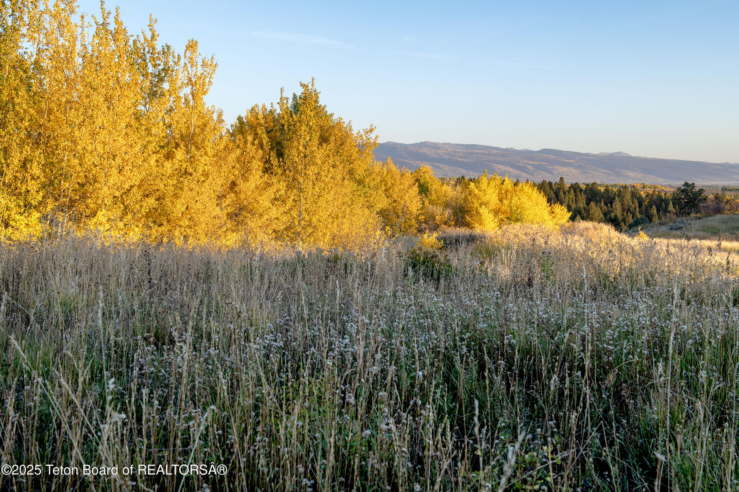 10827 Hiatt Trail Tetonia, ID 83452 - Photo 90 of 96 DSC_4344_print