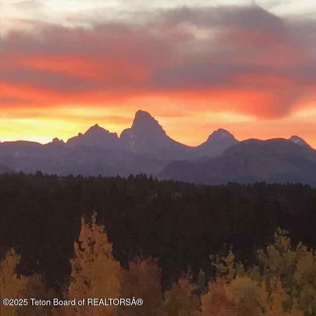 10827 Hiatt Trail Tetonia, ID 83452 - Photo 94 of 96 IMG_4281