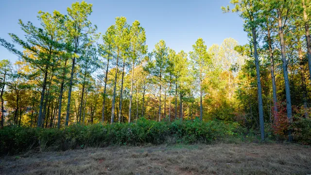 $250,000 | 1147 Topo Drive, Guild, TN 37340