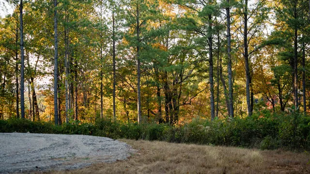 $250,000 | 1147 Topo Drive, Guild, TN 37340