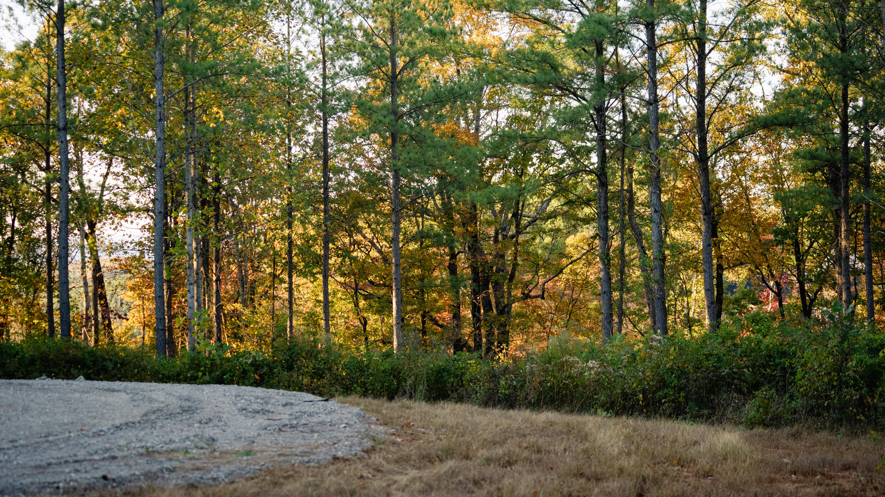 1147 Topo Drive Guild, TN 37340 - Photo 16 of 18 DSC08106