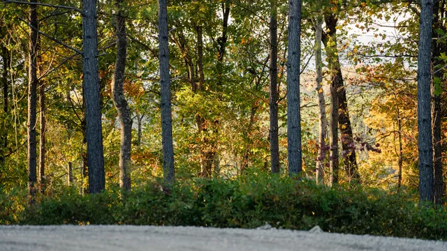 $250,000 | 1147 Topo Drive, Guild, TN 37340