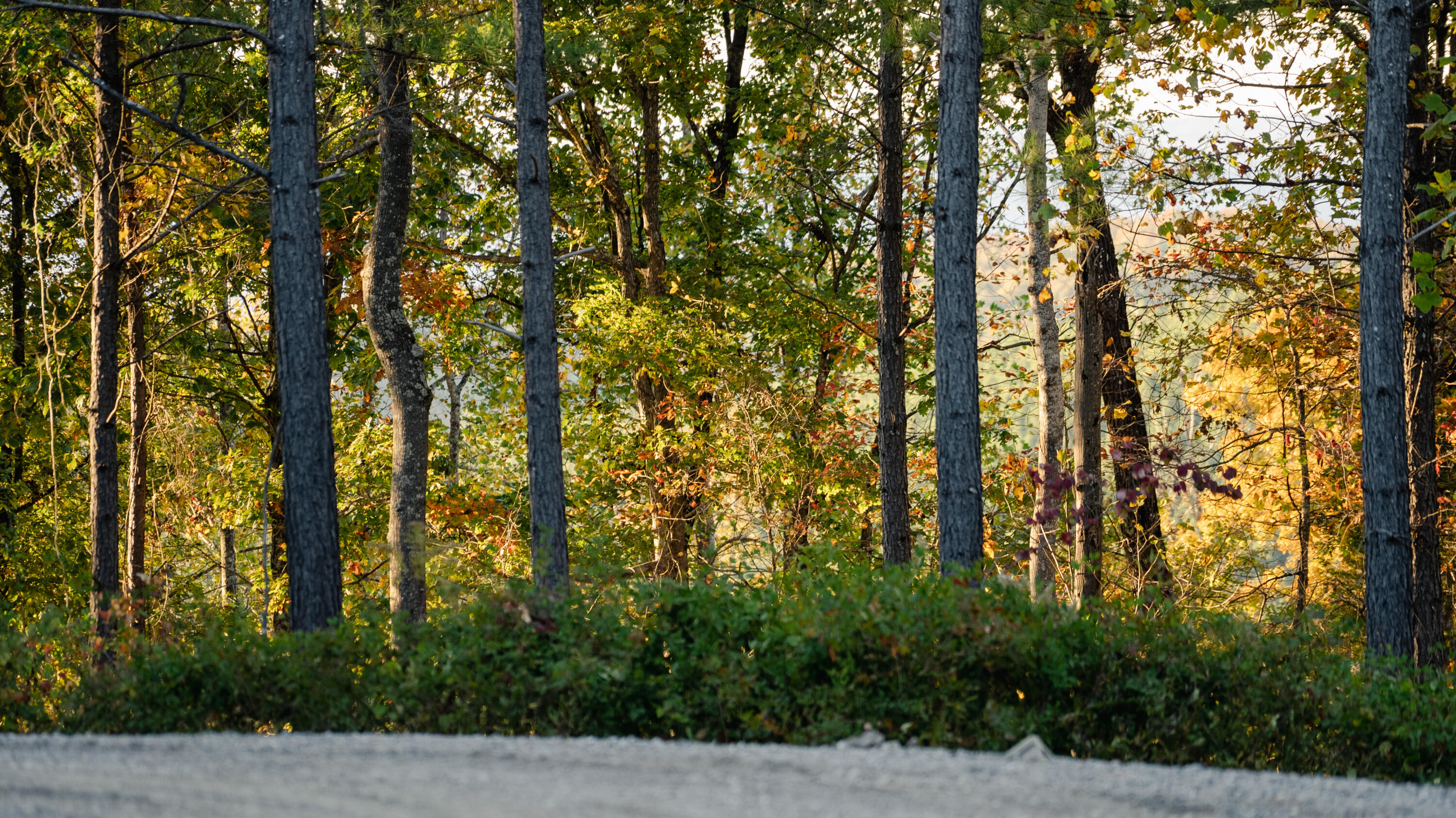 1147 Topo Drive Guild, TN 37340 - Photo 17 of 18 DSC08107