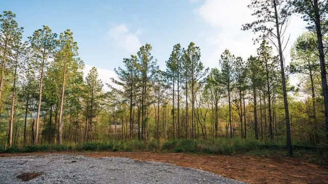 $250,000 | 1147 Topo Drive, Guild, TN 37340