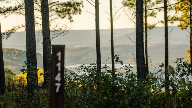 $250,000 | 1147 Topo Drive, Guild, TN 37340