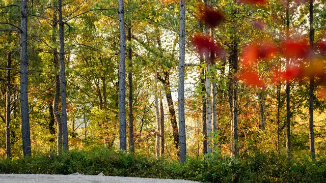 $250,000 | 1147 Topo Drive, Guild, TN 37340