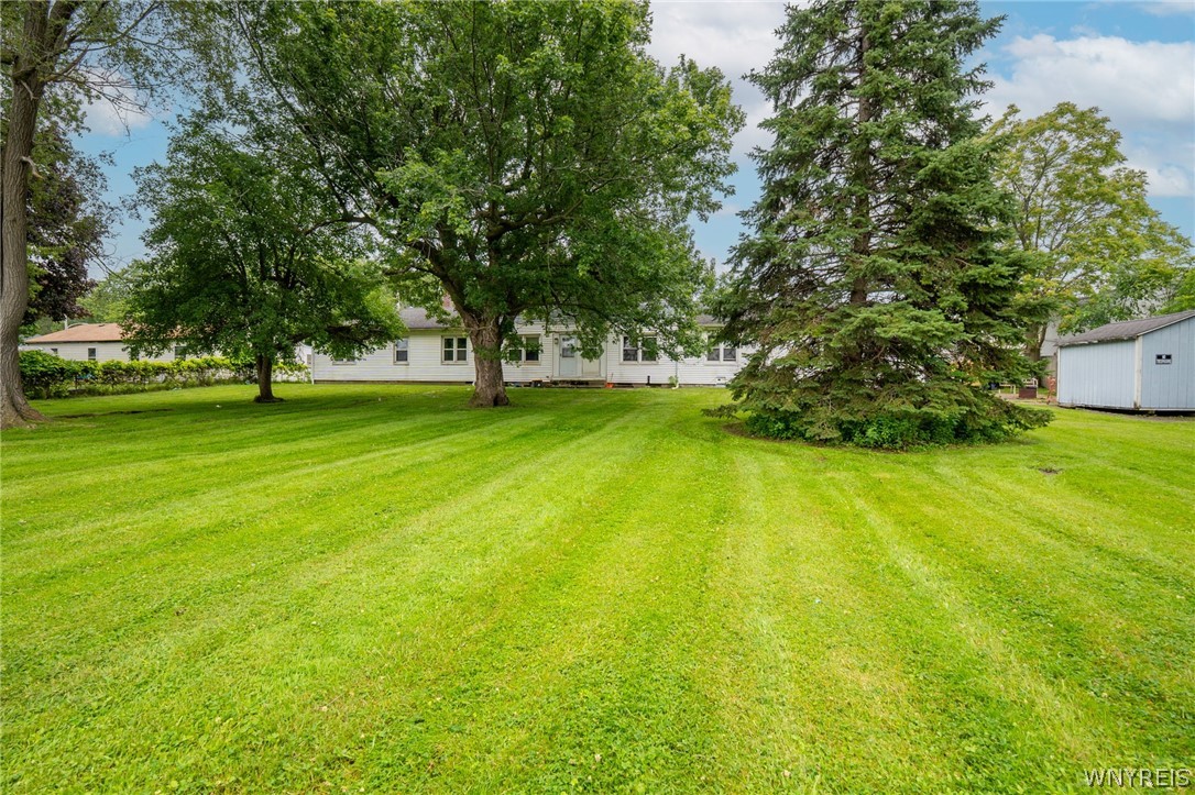 63 Winstead Road, Unit 57 Lackawanna, NY 14218 - Photo 8 of 30 Mature Tree Backyard