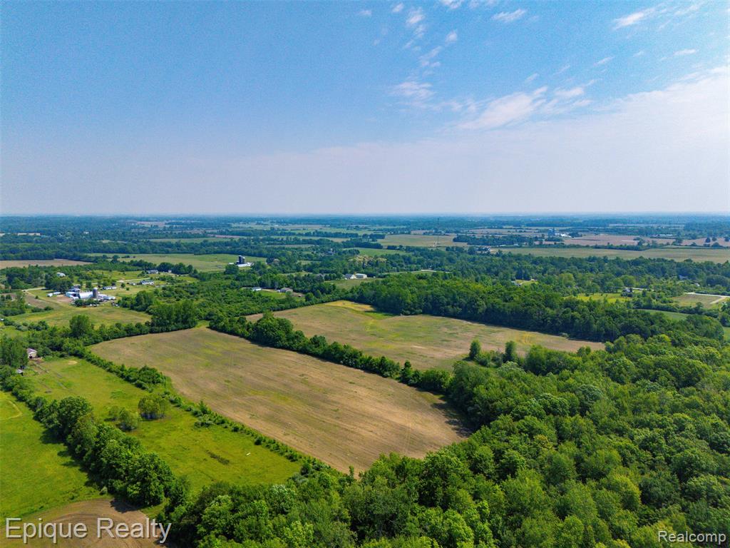0 Jeddo Road Yale, MI 48097 - Photo 9 of 21