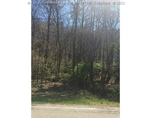 1 Indian Creek Road Elkview, WV 25071 - Photo 2 of 6 Land.