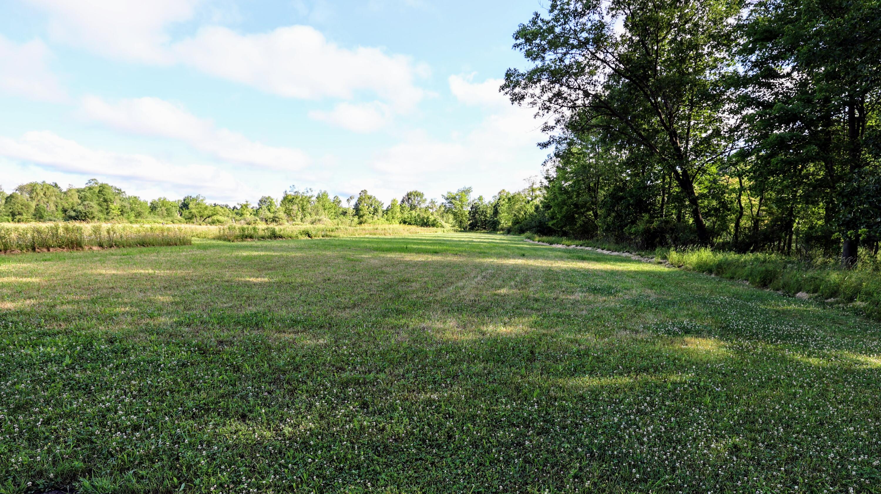 29 29 Mile Road Albion, MI 49224 - Photo 14 of 48 14