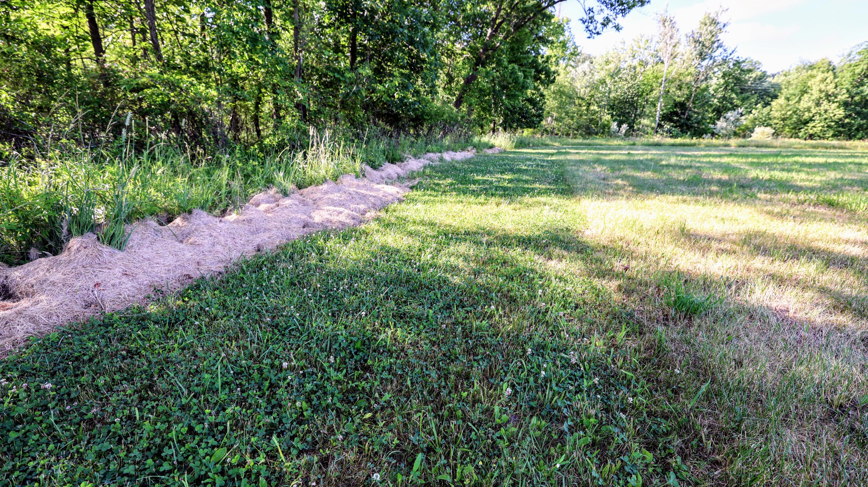 29 29 Mile Road Albion, MI 49224 - Photo 15 of 48 15