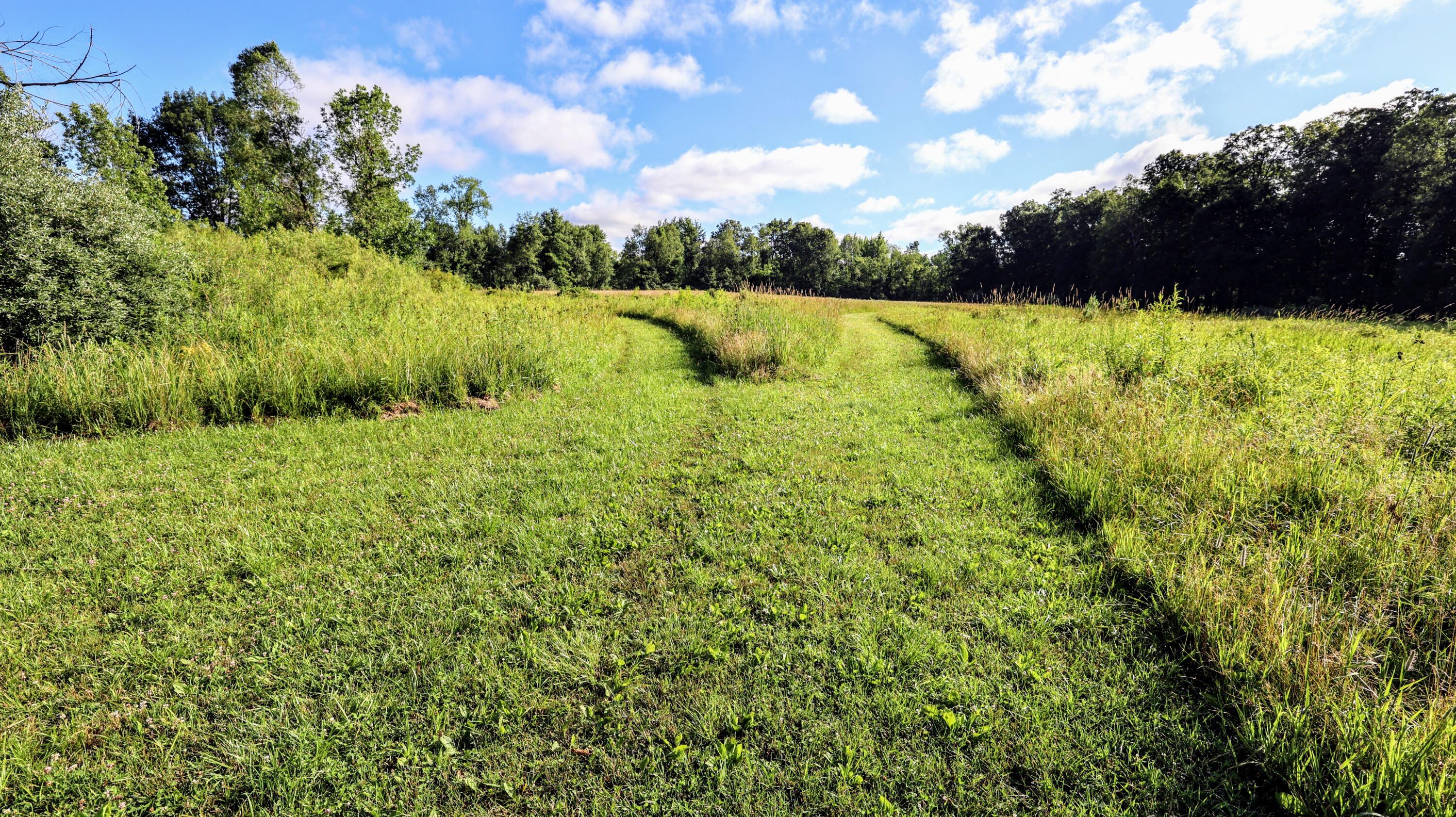 29 29 Mile Road Albion, MI 49224 - Photo 18 of 48 18