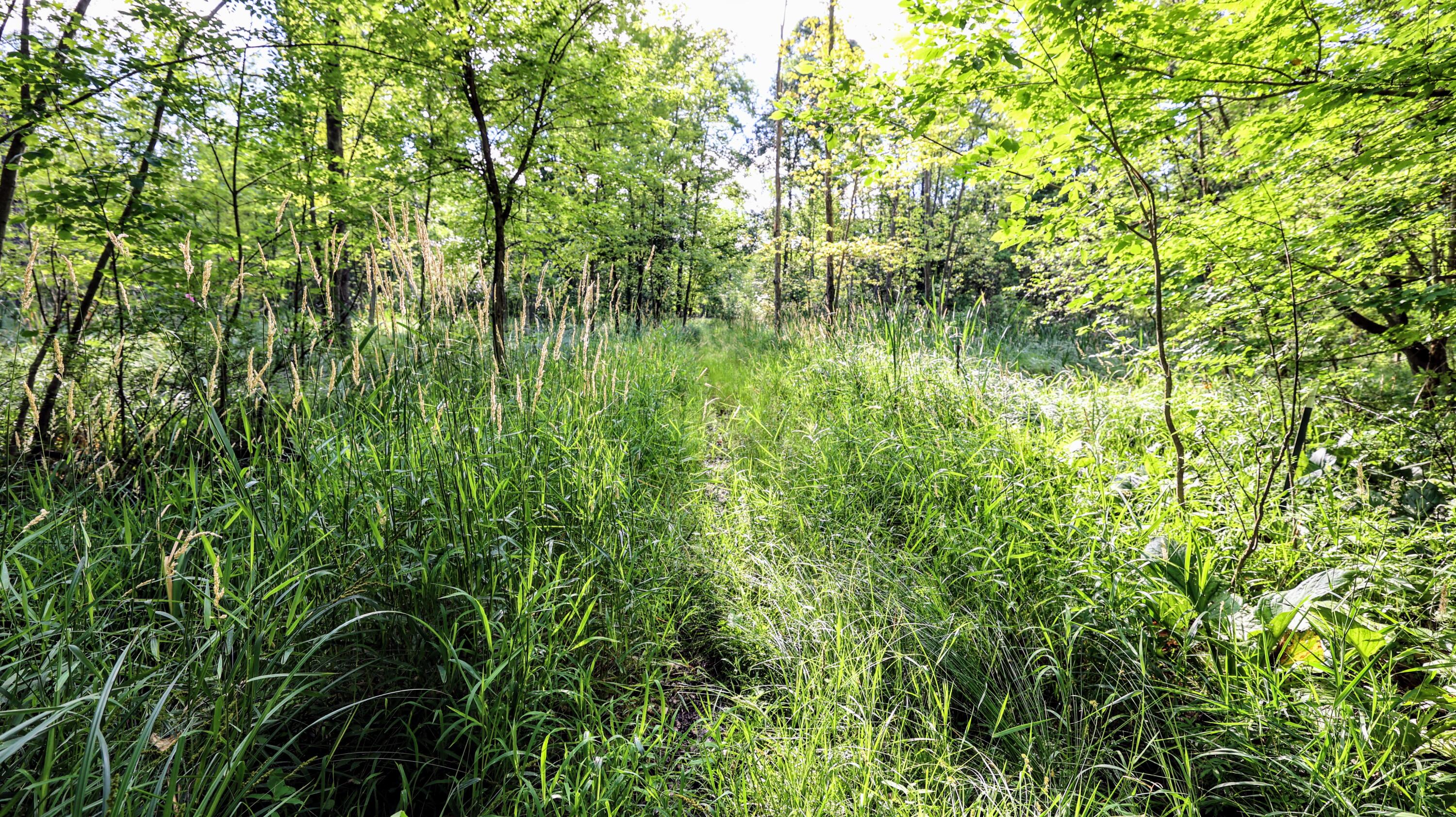 29 29 Mile Road Albion, MI 49224 - Photo 23 of 48 23