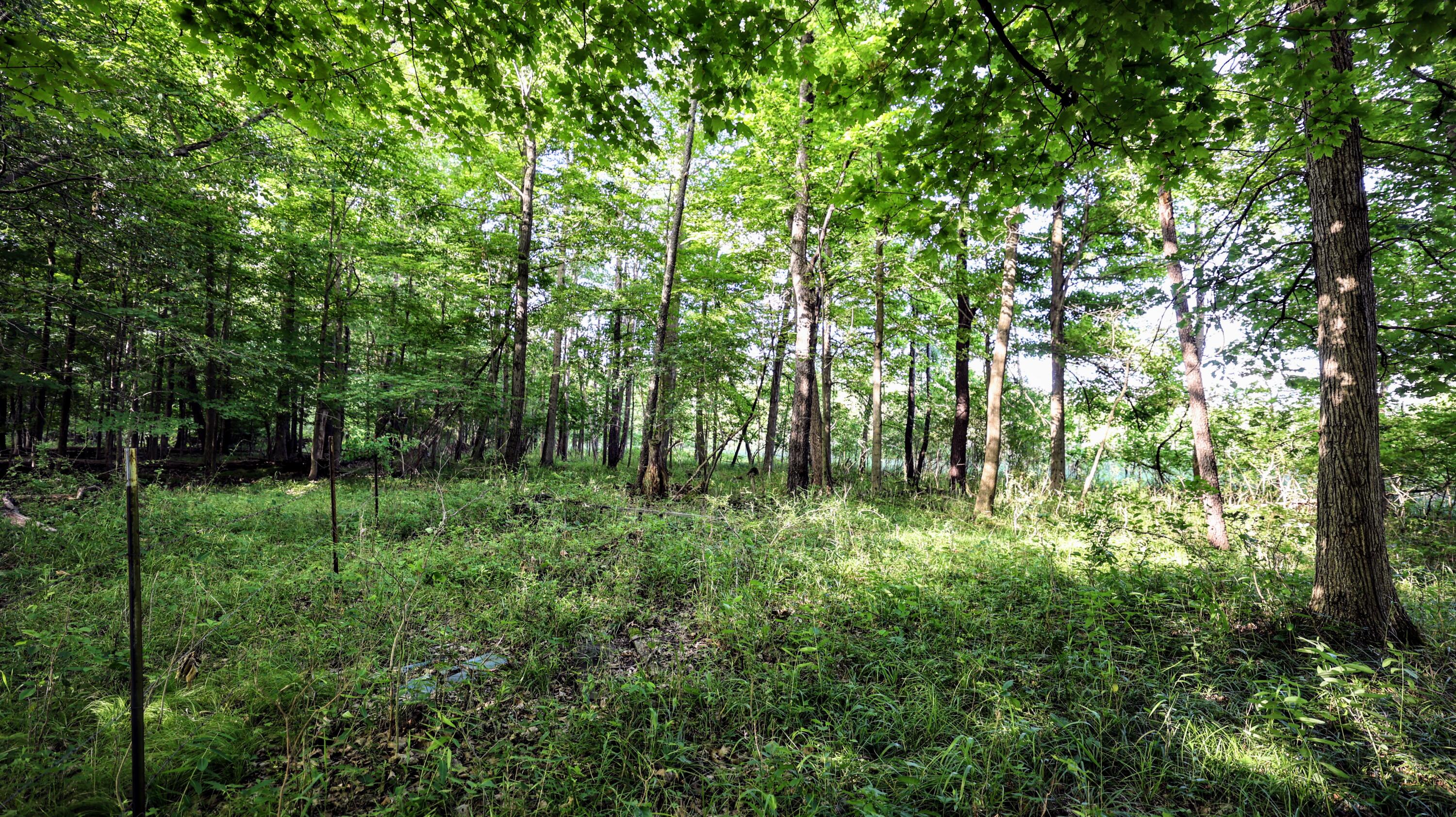 29 29 Mile Road Albion, MI 49224 - Photo 24 of 48 24
