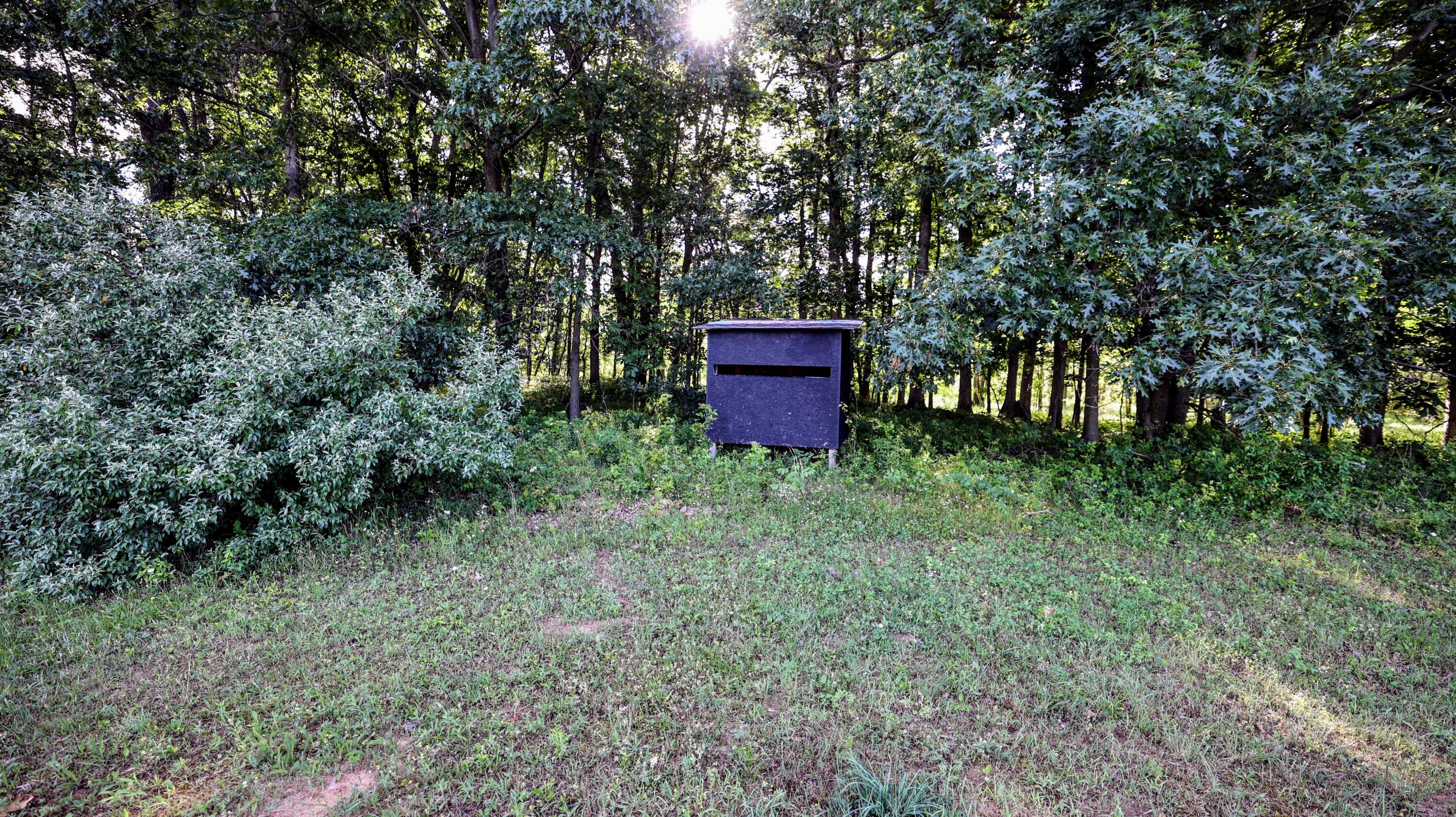29 29 Mile Road Albion, MI 49224 - Photo 26 of 48 26