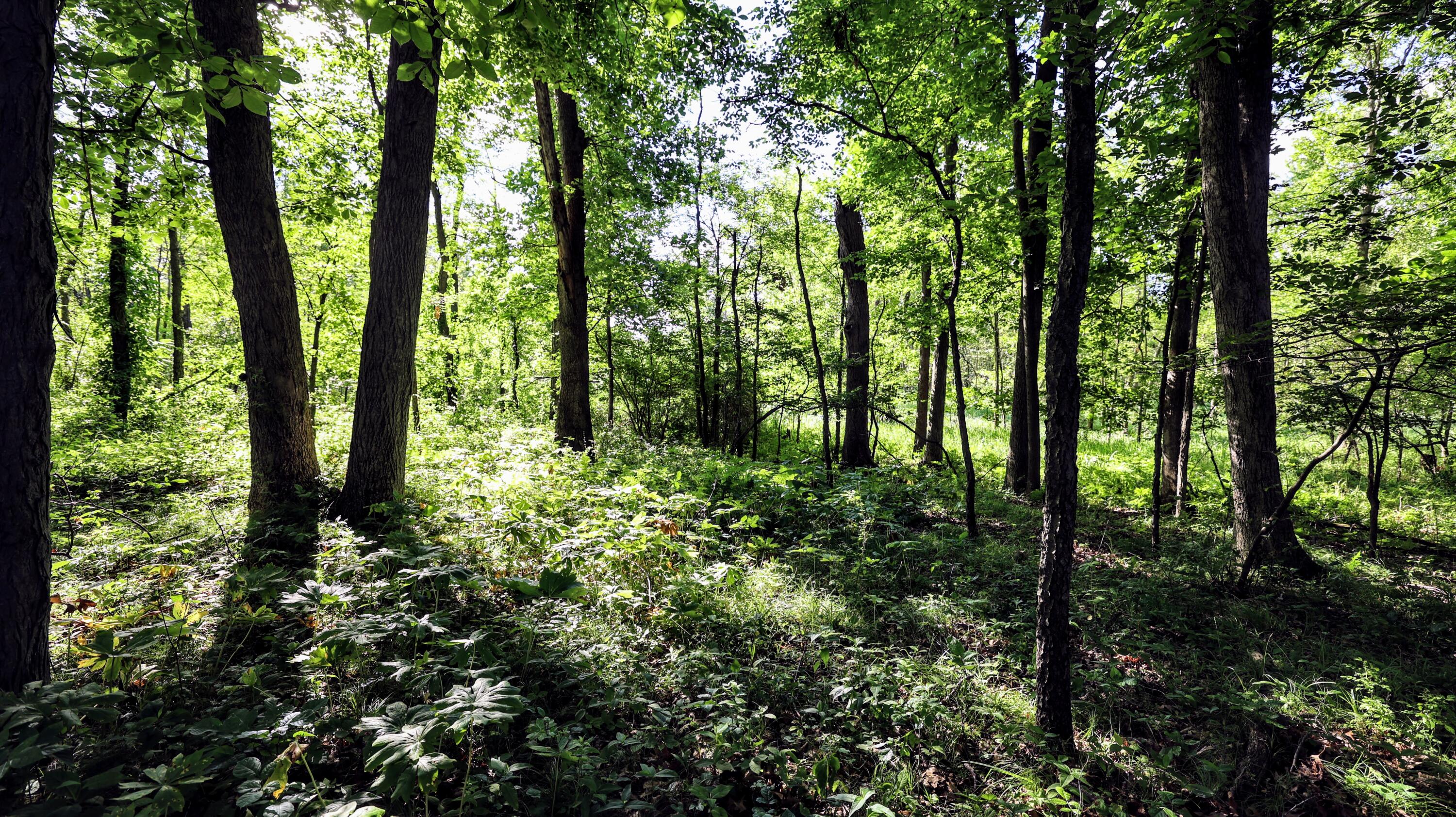 29 29 Mile Road Albion, MI 49224 - Photo 27 of 48 27