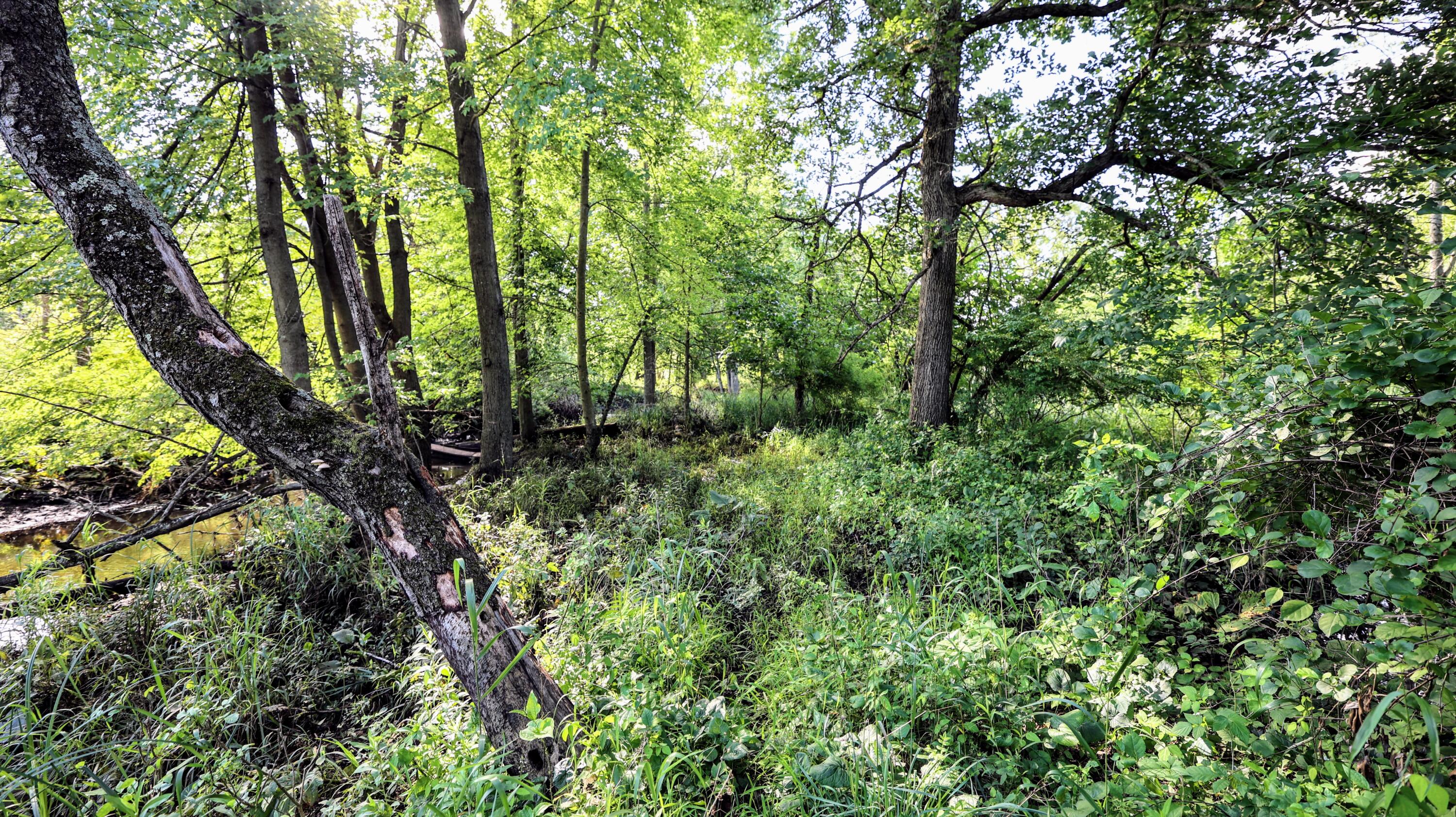 29 29 Mile Road Albion, MI 49224 - Photo 28 of 48 28