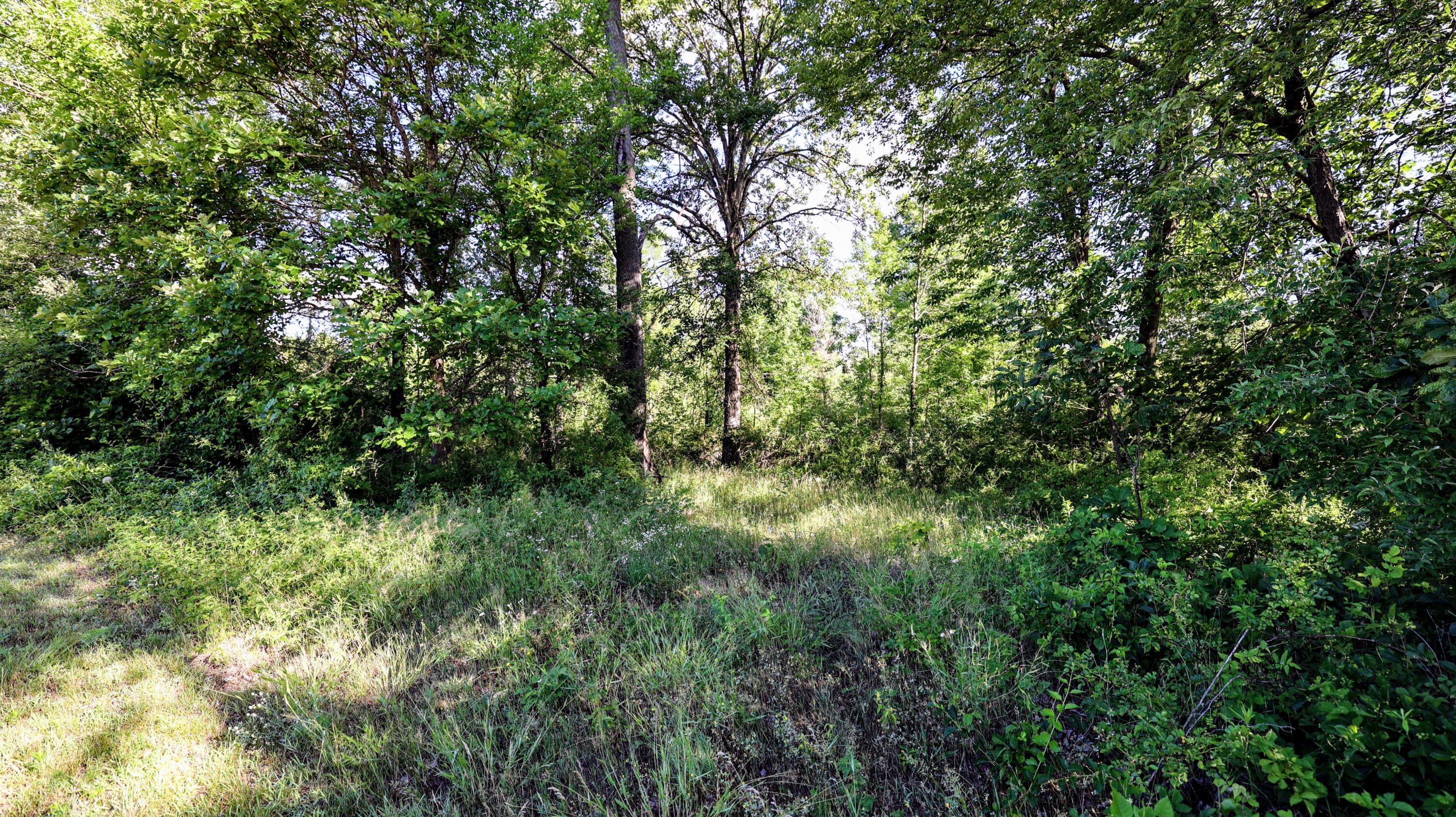 29 29 Mile Road Albion, MI 49224 - Photo 32 of 48 32