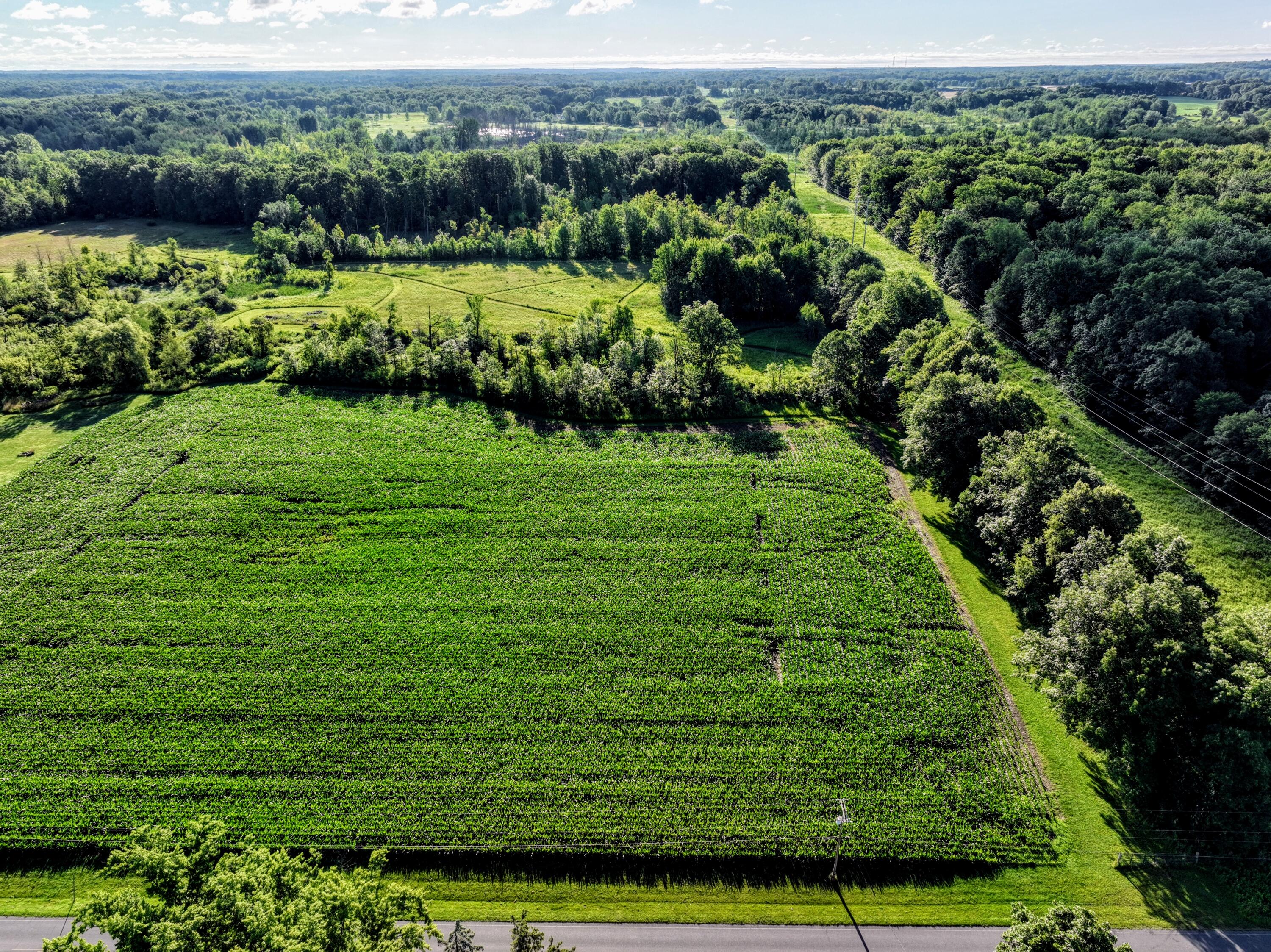 29 29 Mile Road Albion, MI 49224 - Photo 33 of 48 33