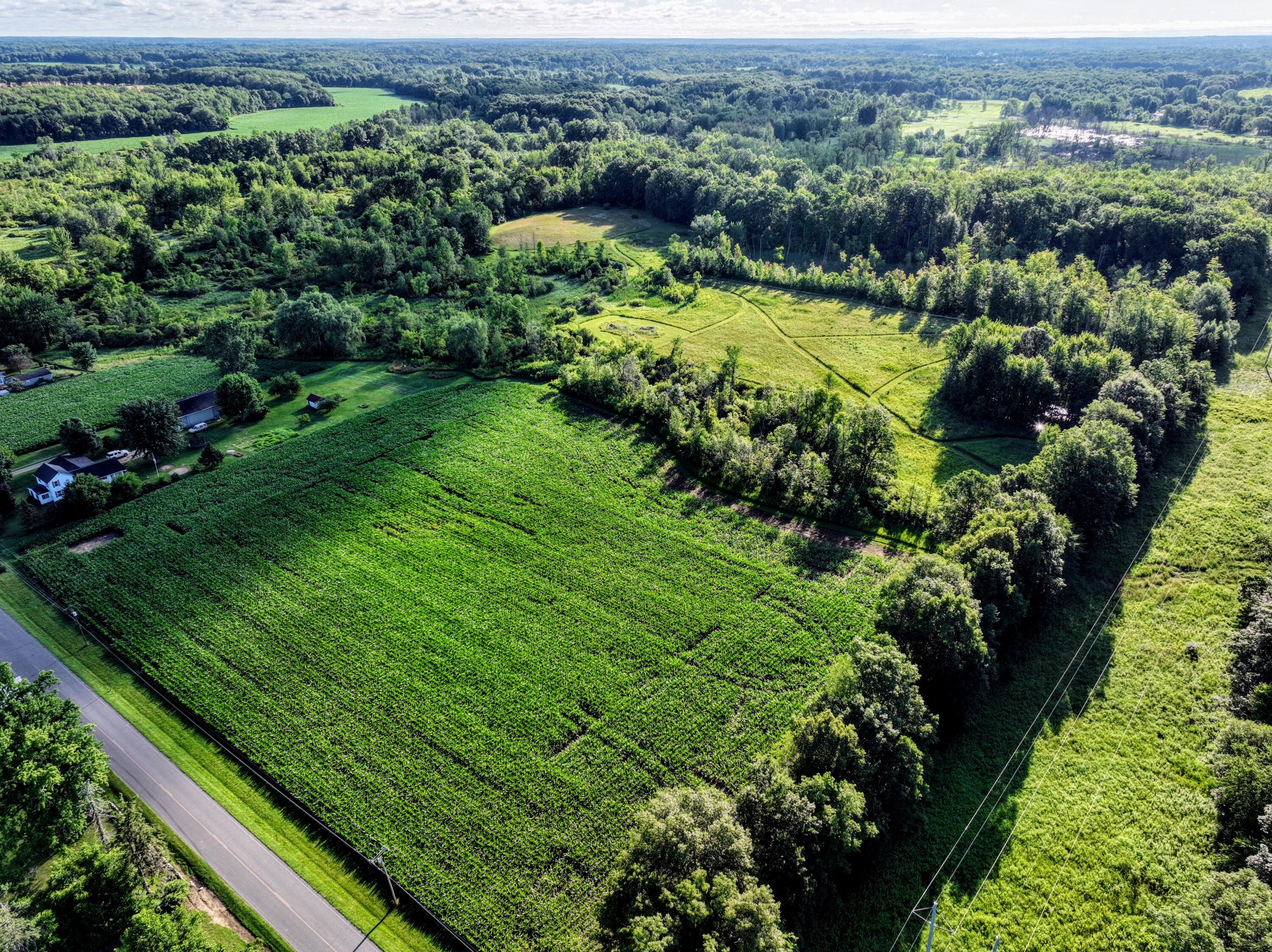 29 29 Mile Road Albion, MI 49224 - Photo 34 of 48 34