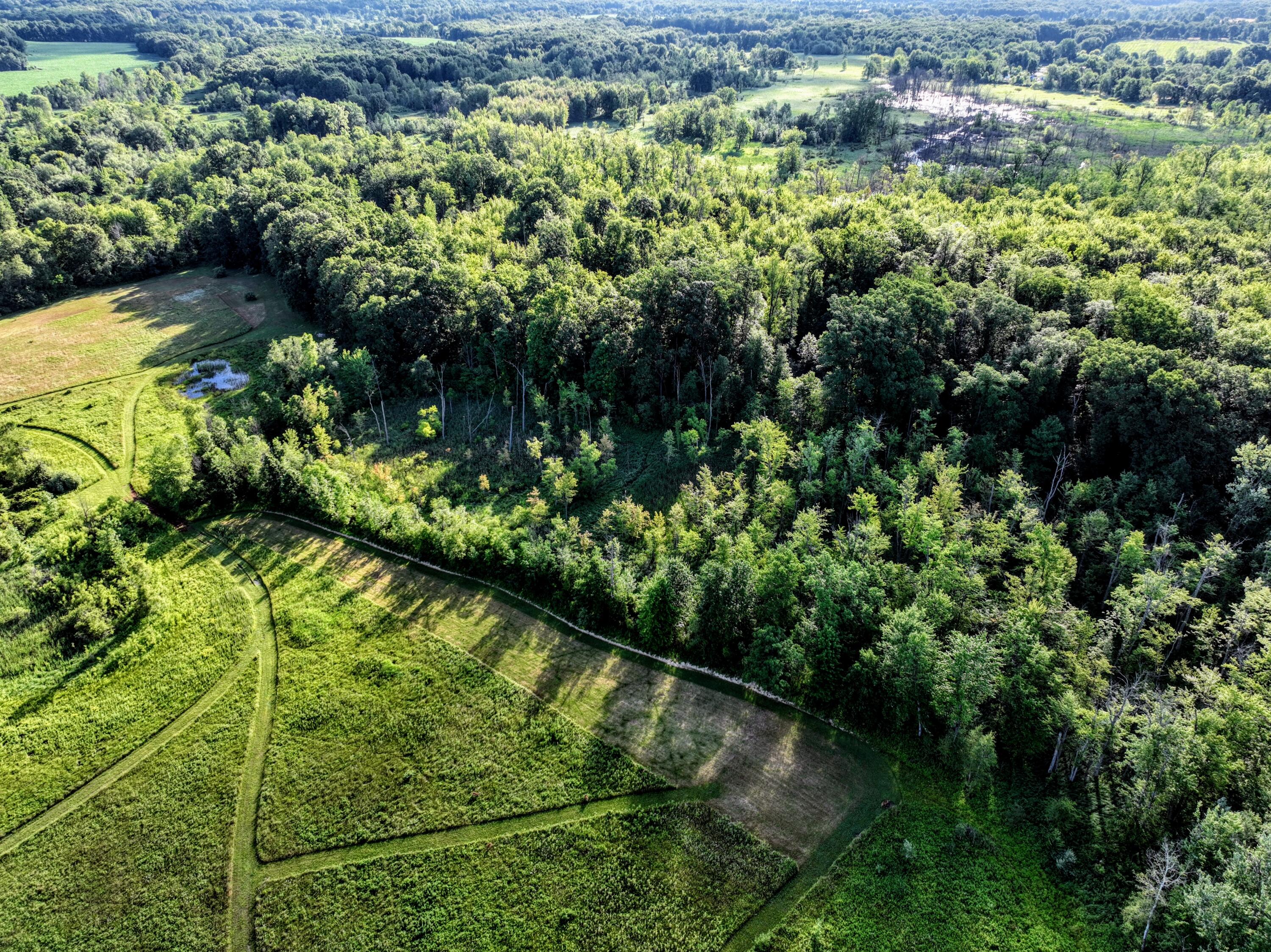 29 29 Mile Road Albion, MI 49224 - Photo 36 of 48 36