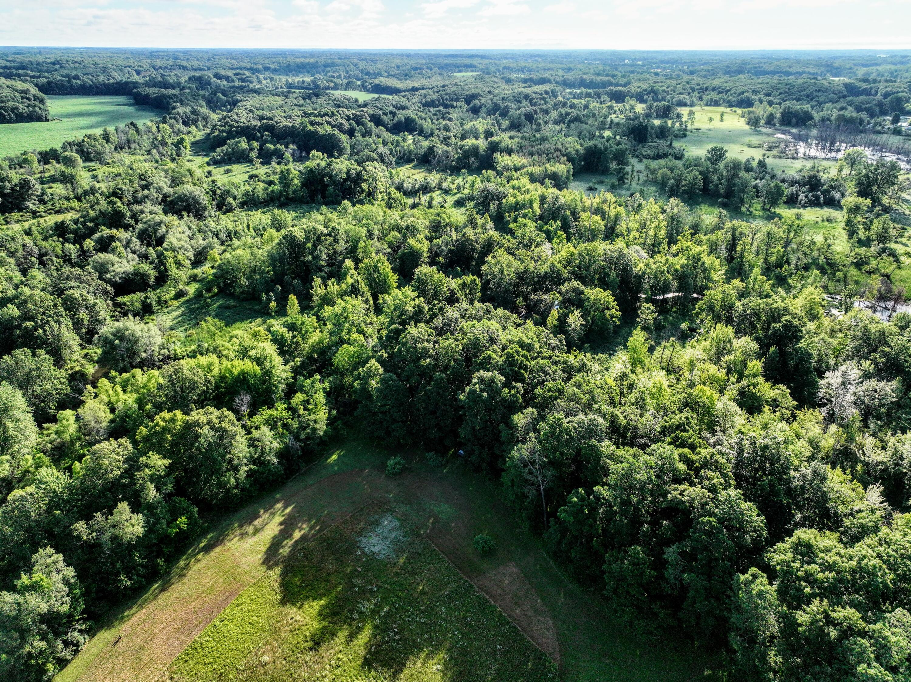 29 29 Mile Road Albion, MI 49224 - Photo 38 of 48 38