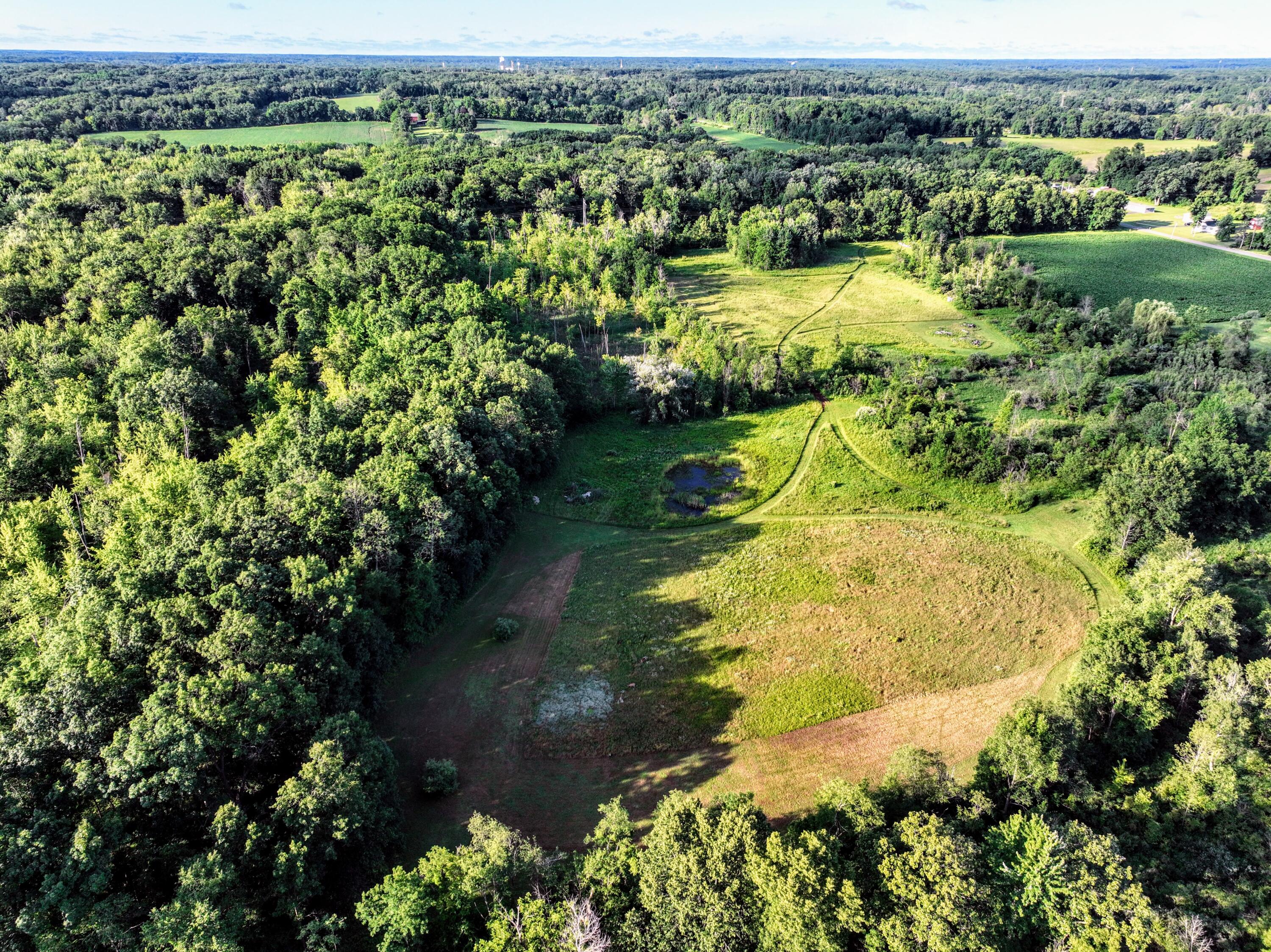 29 29 Mile Road Albion, MI 49224 - Photo 39 of 48 39