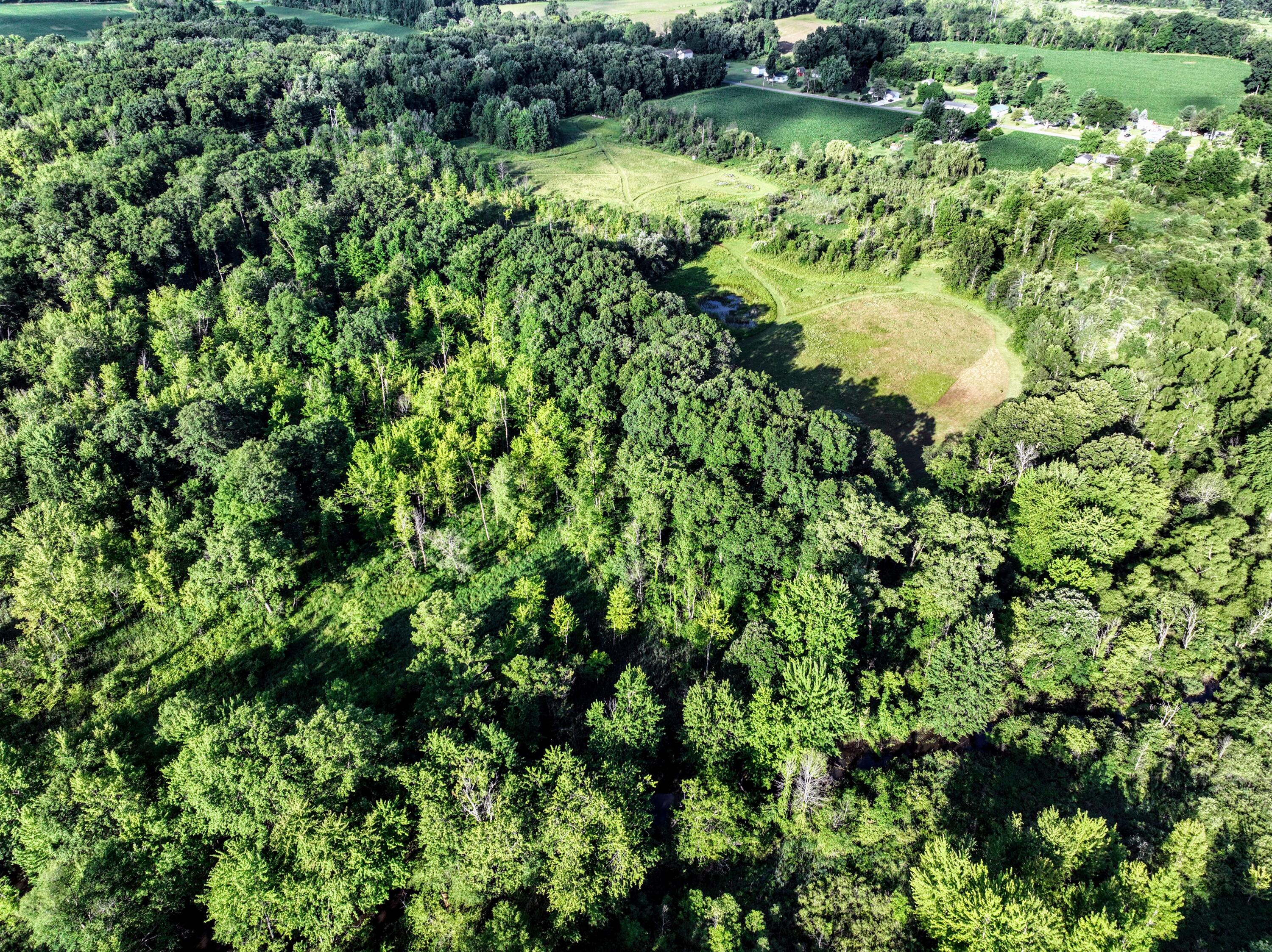 29 29 Mile Road Albion, MI 49224 - Photo 40 of 48 40