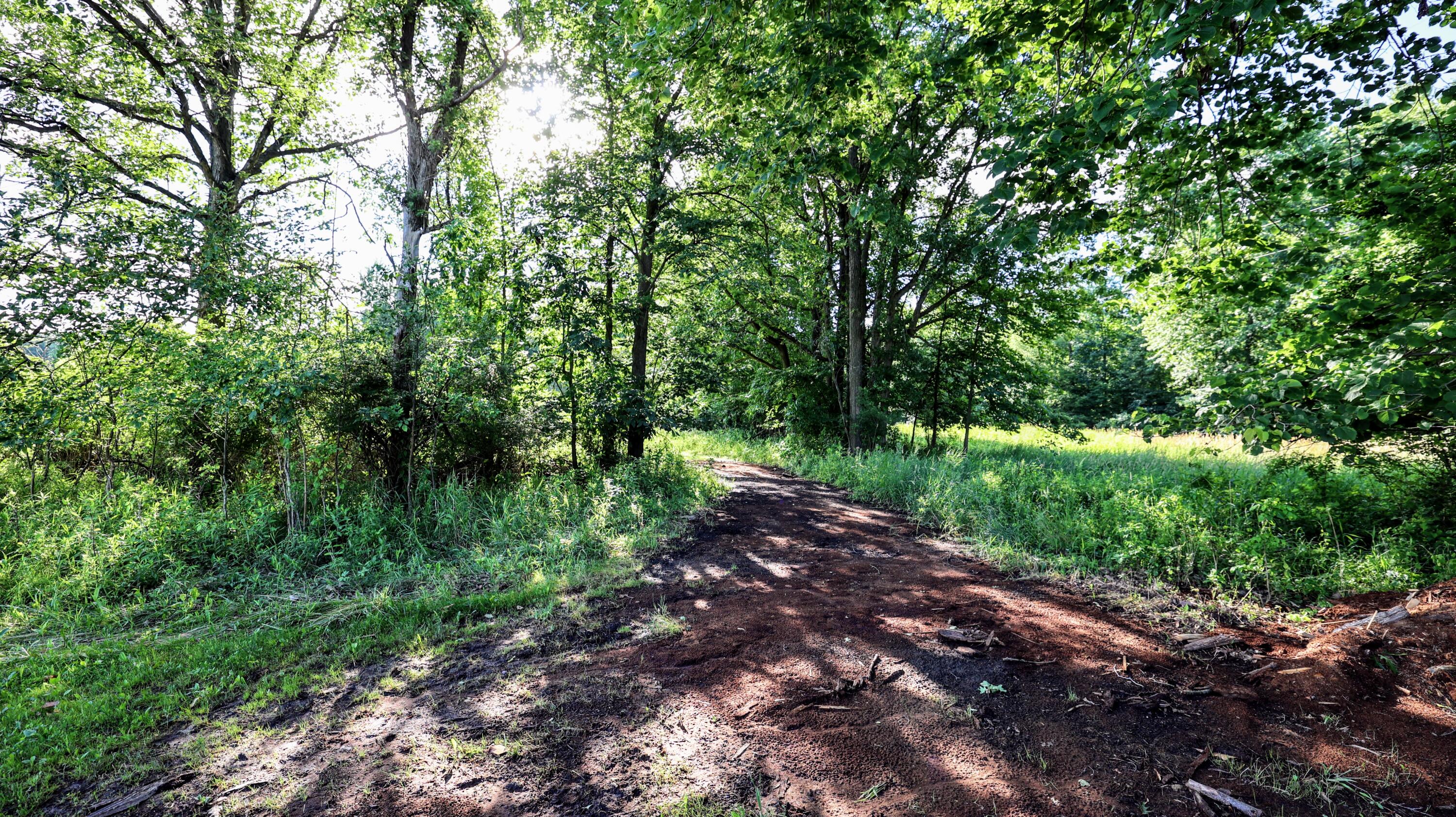 29 29 Mile Road Albion, MI 49224 - Photo 47 of 48 47