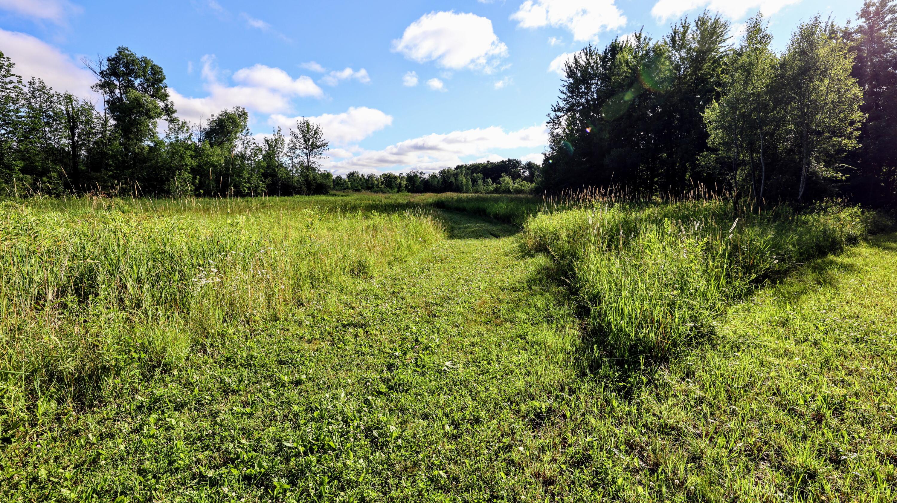 29 29 Mile Road Albion, MI 49224 - Photo 48 of 48 48