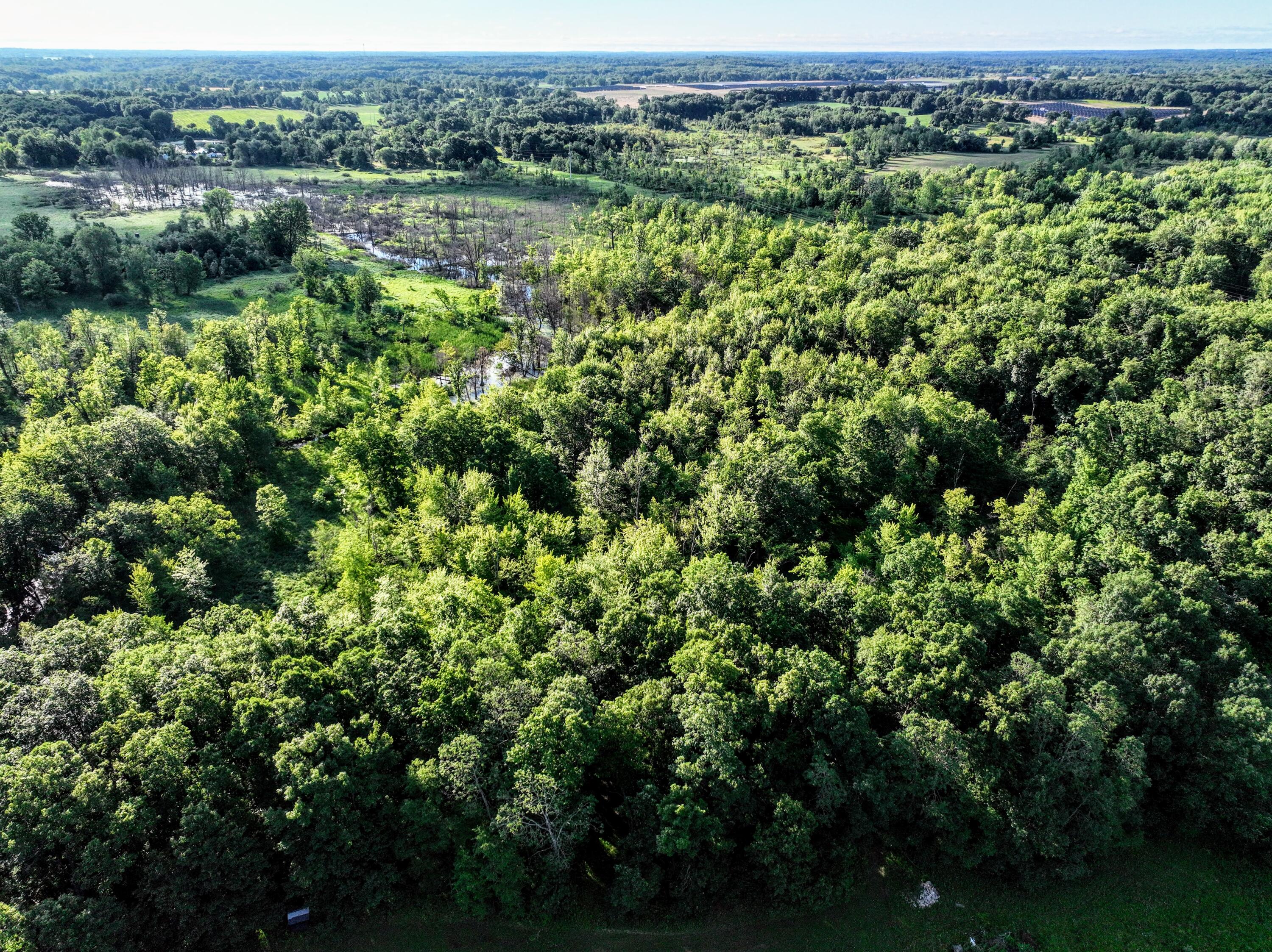 29 29 Mile Road Albion, MI 49224 - Photo 5 of 48 5