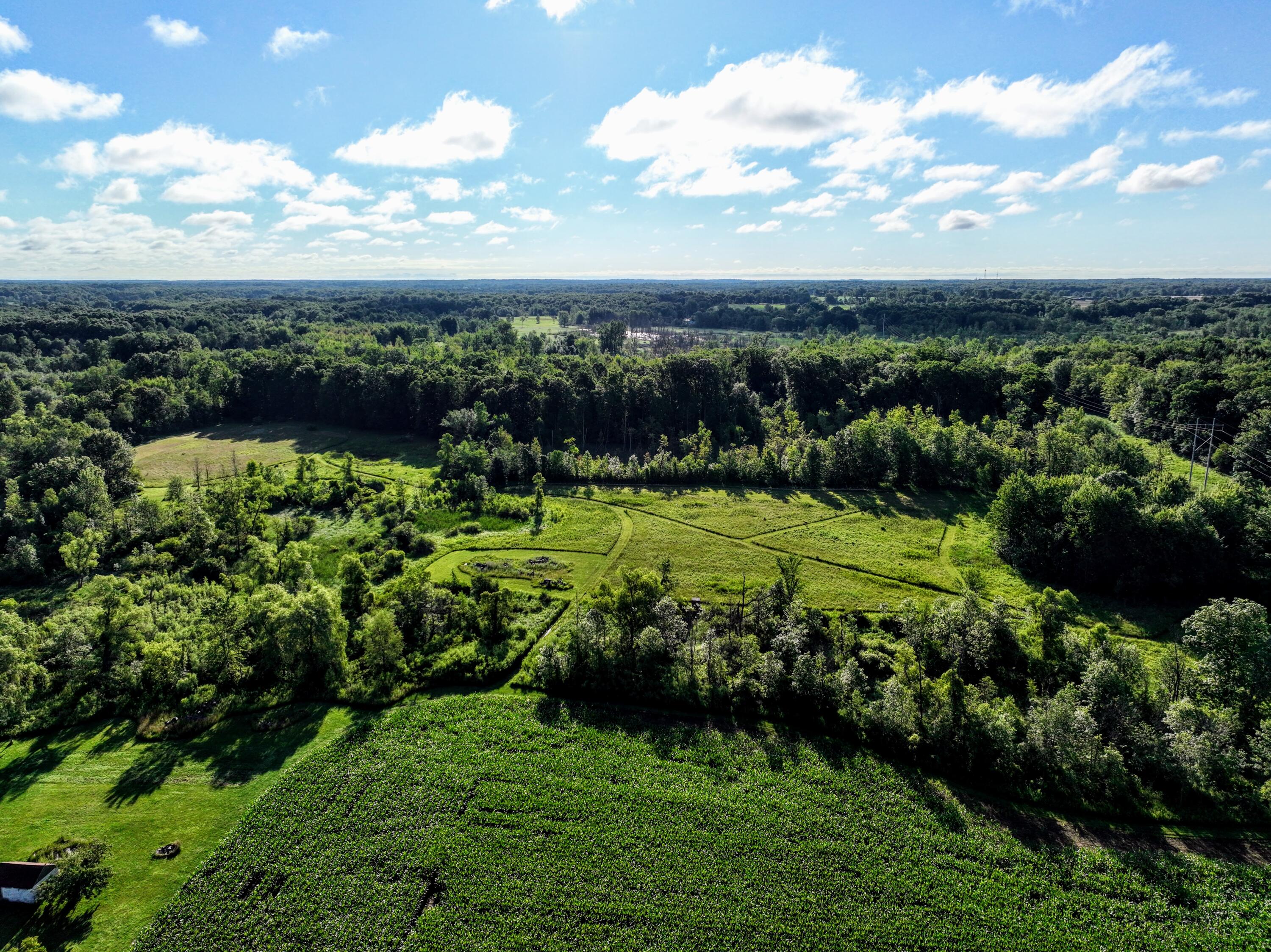 29 29 Mile Road Albion, MI 49224 - Photo 6 of 48 6