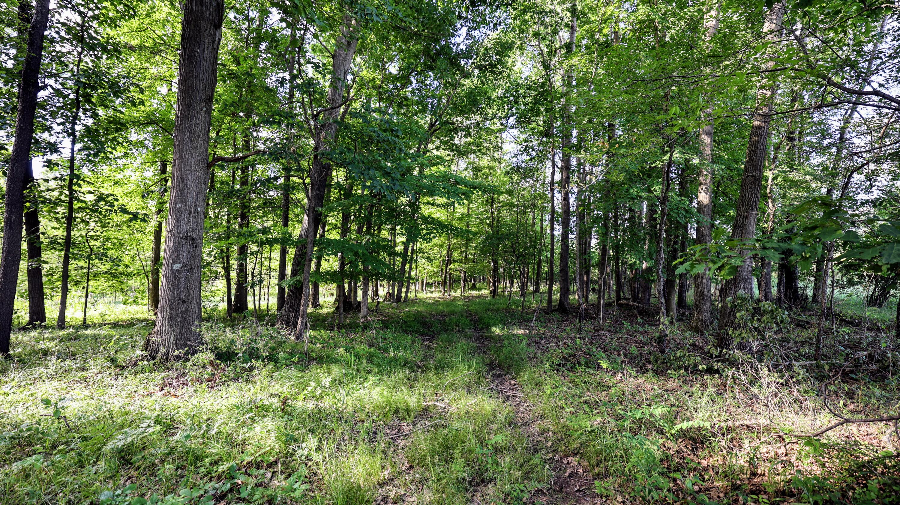 29 29 Mile Road Albion, MI 49224 - Photo 9 of 48 9