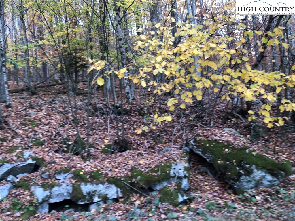 105 Lakeledge Road Beech Mountain, NC 28604 - Photo 1 of 4 a backyard of a house with lots of green space