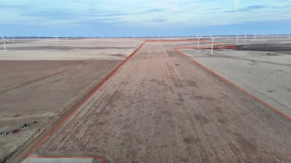 a view of a dry yard