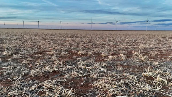 a view of a yard with an ocean