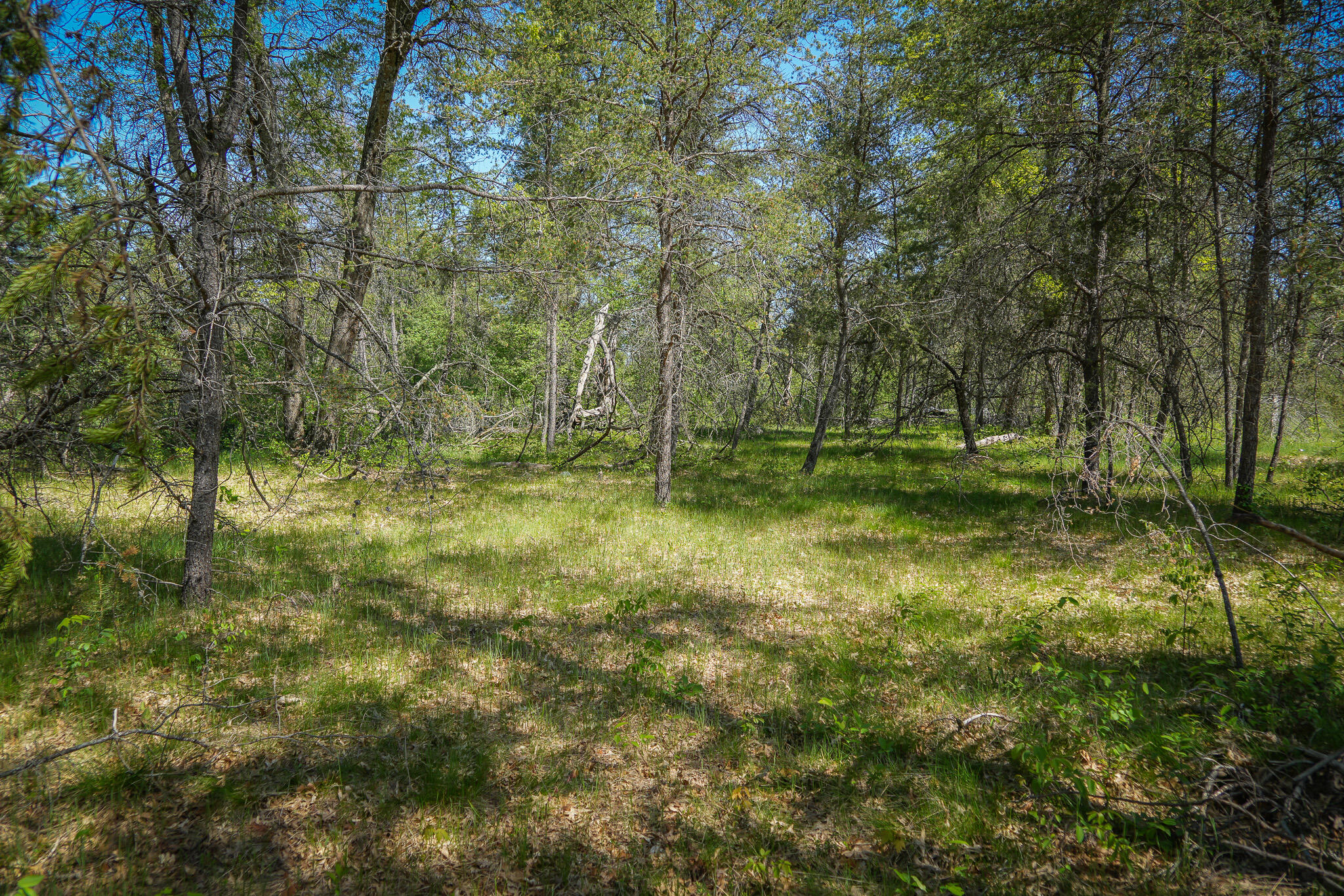 4364 West 4 Mile Road Irons, MI 49644 - Photo 28 of 39 4364 W 4 Mile Rd. Pic 28