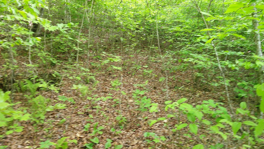 Lot 9 Mcdonald Road Murphy, NC 28906 - Photo 6 of 12