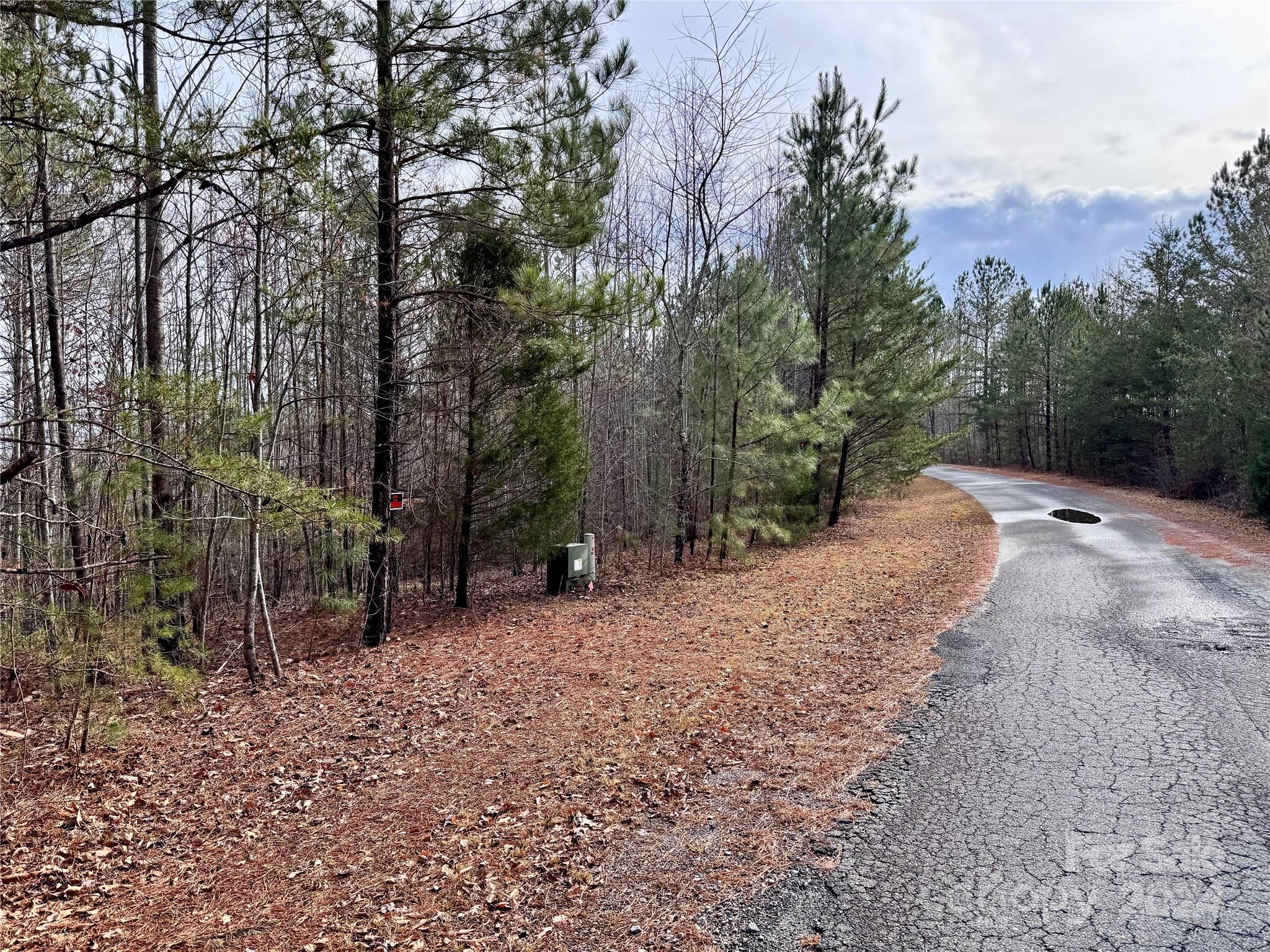 0 Hope Drive Rutherfordton, NC 28139 - Photo 11 of 22 a view of a forest filled with trees