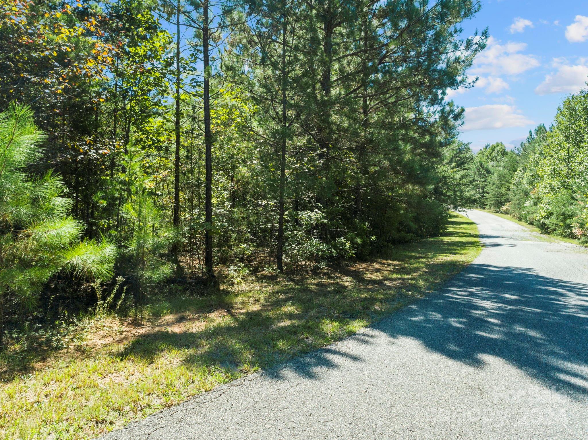 0 Hope Drive Rutherfordton, NC 28139 - Photo 12 of 22 a view of yard