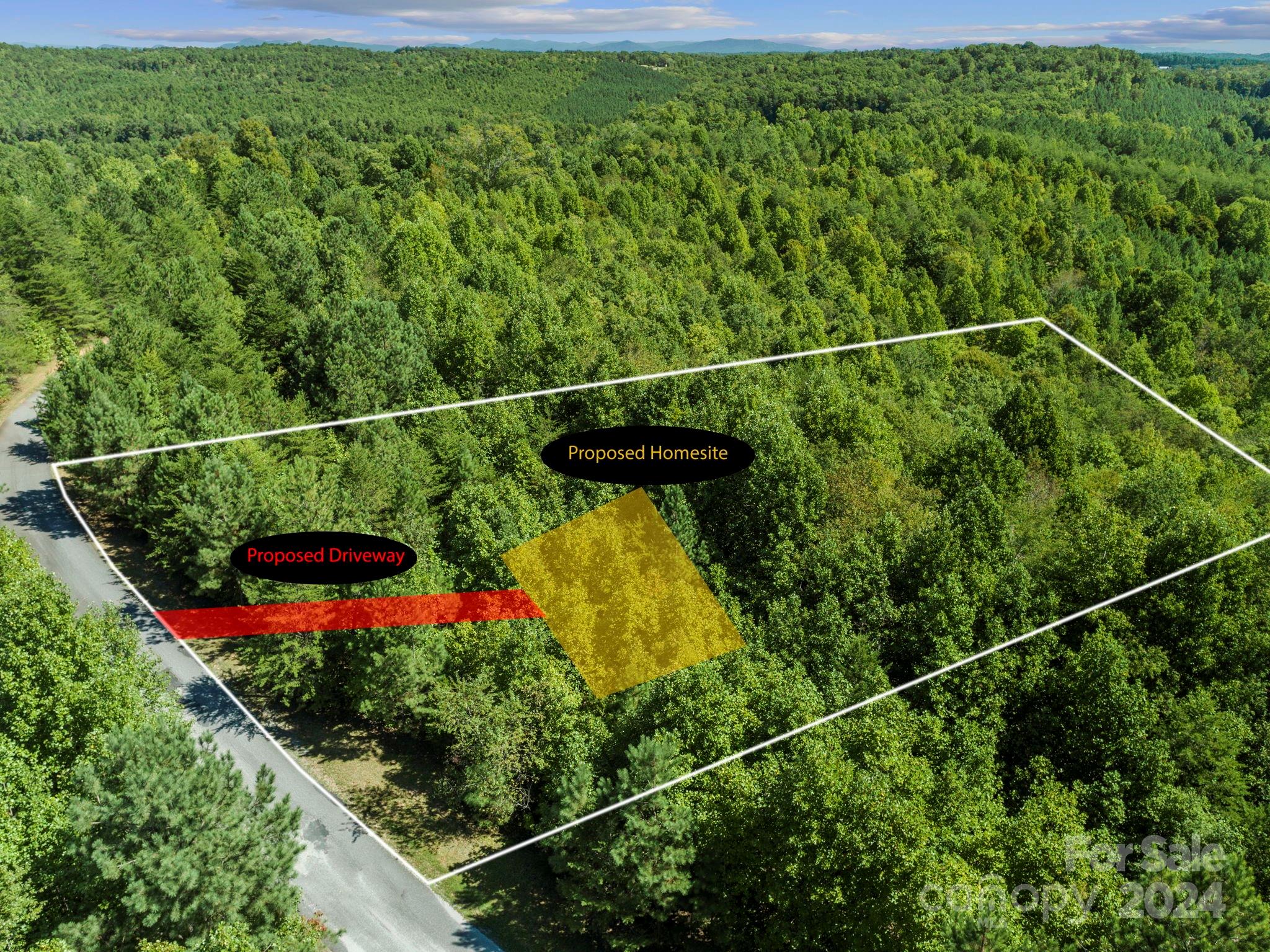 0 Hope Drive Rutherfordton, NC 28139 - Photo 2 of 22 a view of a yard with potted plants